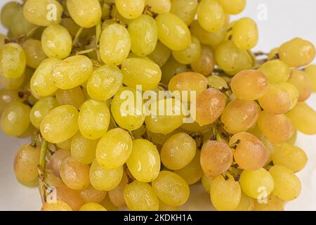 Ripe bunch of grapes on a white background. Isolate. copy space Stock Photo