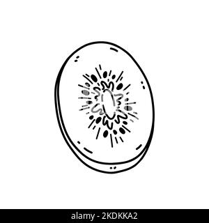 Half kiwi fruit isolated on white background. Organic healthy food. Vector hand-drawn illustration in doodle style. Perfect for recipes, logo, decor Stock Vector