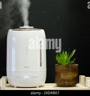 A working white humidifier Deerma on a black background next to a houseplant, water vapor - Moscow, Russia, October 29, 2022 Stock Photo