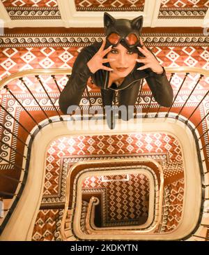 CATWOMAN IN A PALACE IN PARIS Stock Photo