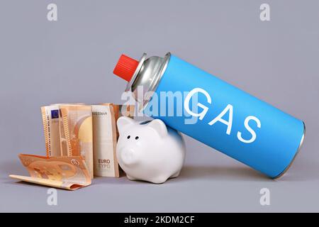 Gas cartridge bottle with piggy bank and Euro bills. Concept for saving gas. Stock Photo