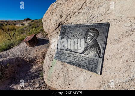 Stephen Mather plaque along Giant Logs Trail in Petrified Forest National Park, Arizona, USA Stock Photo