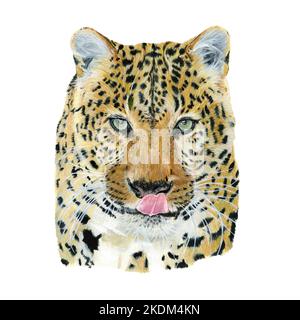 Watercolor Portrait of Leopard on white background Stock Photo - Alamy