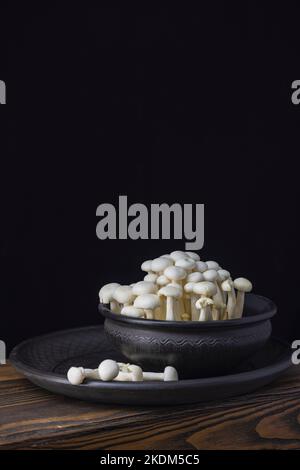 Fresh uncooked bunapi white shimeji edible mushrooms from Asia in a ceramic bowl on a dark wooden background. Stock Photo