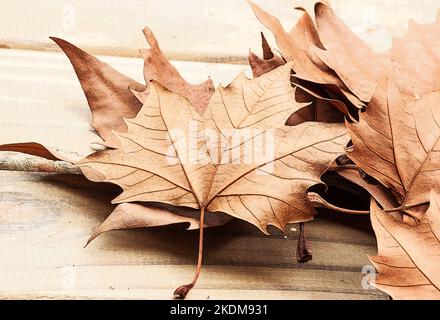 Autumn leaves on wooden table Stock Photo