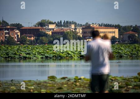 Man holding a child seen from behind and out of focus with a swamp and buildings in the distance as background Stock Photo