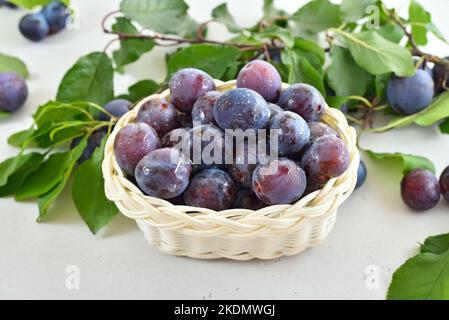 Fresh plums in the basket on stone background Stock Photo