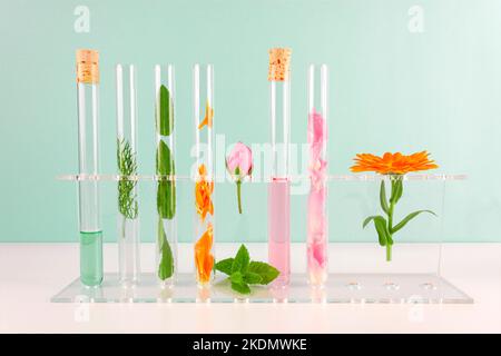 Flowers and plants in test tubes. Natural perfume, aromatic and essential oil from fresh flower. Science laboratory research. Nature cosmetics. Stock Photo
