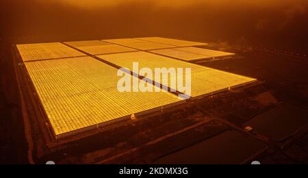 Aerial view of large modern glass greenhouse complex at foggy night Stock Photo