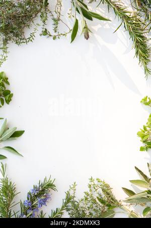Aromatic herbs frame. White central area. Stock Photo
