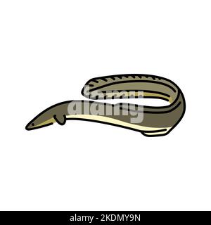 Deep-sea eel color line illustration. Ocean fishes Stock Vector