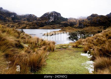 Horizontal landscape photograph of the Cajas National Park in the highlands of Ecuador Stock Photo