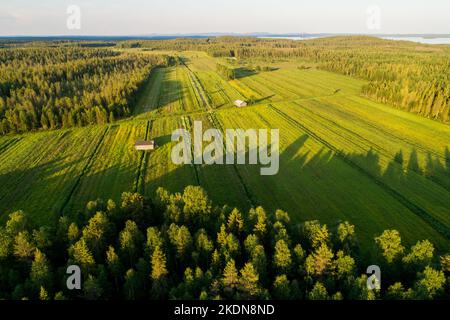 An aerial of old and broken hay barns in the middle of lush grassland in summery Finland on a beautiful evening Stock Photo