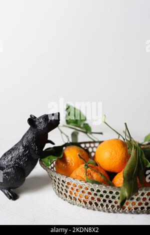 mandarin oranges in a basket with black rat mouse on white Stock Photo