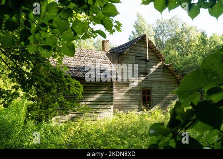 An old and abandoned wooden building in the middle of lush forest in Soomaa National Park, Estonia Stock Photo