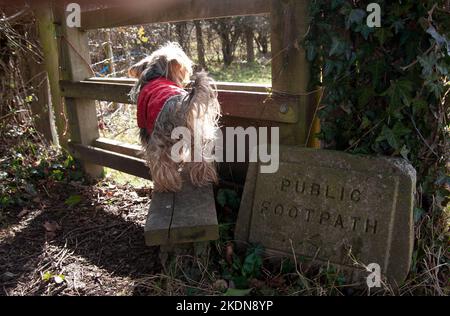 Yorkshire terrier standing on stile by old stone public footpath sign, West Sussex, England Stock Photo