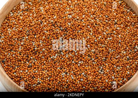 dried grains bird food. Red millet grain. Millets are a highly varied group of small-seeded grasses, widely grown around the world as cereal crops or Stock Photo