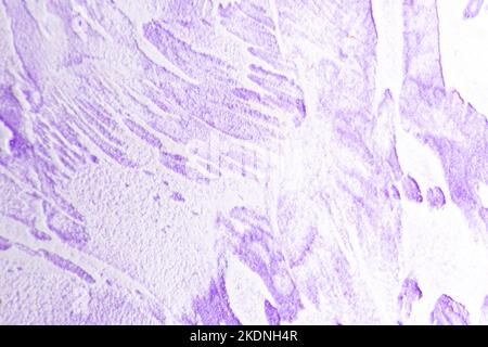 texture, plaster background. Lumian antique decorative coating. High quality photo Stock Photo