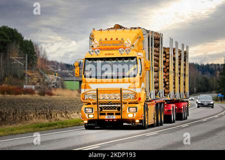 Beautifully customised yellow Sisu logging truck Br Holmberg Transport hauls log load on road 52 on a day of autumn. Salo, Finland. October 27, 2022 Stock Photo