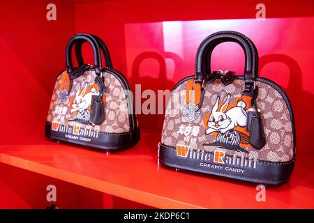 Hopping Into Fashion: White Rabbit Candy Collaborates With Coach