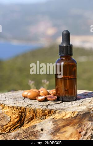 Argan seeds and oil on nature wooden background. Organic argan oil for nature cosmetics for skin, hair, massage. Morocco natural bio beauty products. High quality photo Stock Photo
