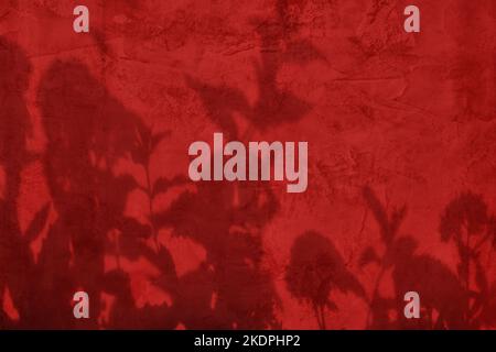 Shadow of leaves on dark red concrete wall texture with roughness and irregularities. Abstract trendy colored nature concept background. Copy space fo Stock Photo