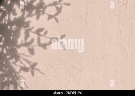 Shadow of leaves and flowers on pink concrete wall texture with roughness and irregularities. Abstract trendy colored nature concept background. Copy Stock Photo