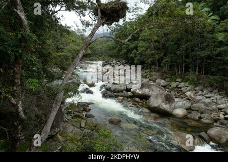 Mossman River in the Mossman Gorge, Daintree National Park in Queensland, Australia Stock Photo