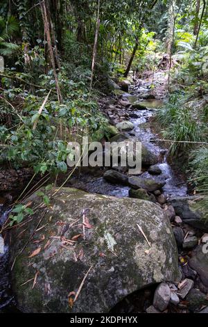 Mossman River in the Mossman Gorge, Daintree National Park in Queensland, Australia Stock Photo