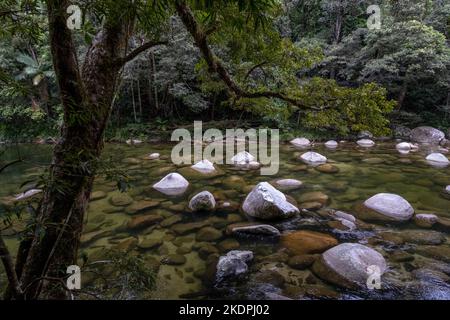 Mossman River in the Mossman Gorge, Daintree National Park in Queensland, Australia Stock Photo