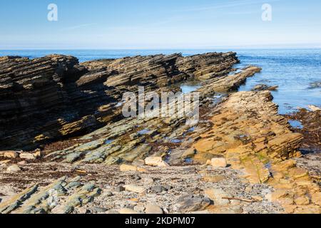 Coastal rock formation, Orkney, UK 2022 Stock Photo