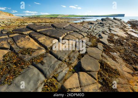 Coastal rock formation, Orkney, UK Stock Photo