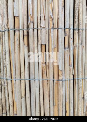 Old weathered reed fence tied with wire. Stock Photo