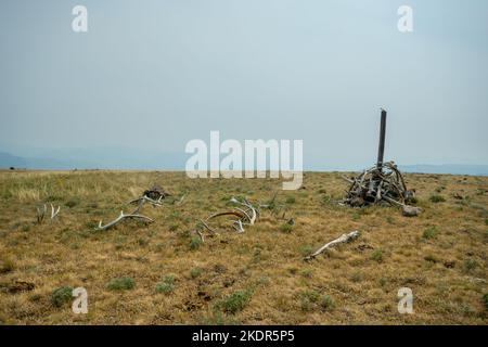 Large Pile of Elk Antlers On The Top of Amethyst Mountain In Yellowstone National Park Stock Photo