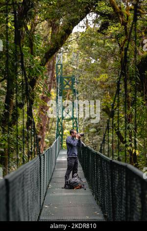 Rainforest Photography Stock Photo