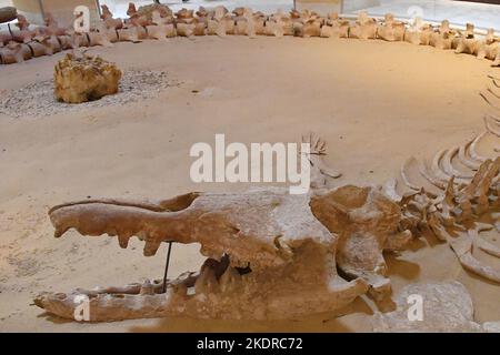 Unique nature protectorate Wadi El Rayan in Wadi al Hitan, Faiyum Governorate, Egypt, October 16, 2022. It was designated a UNESCO World Heritage Site Stock Photo