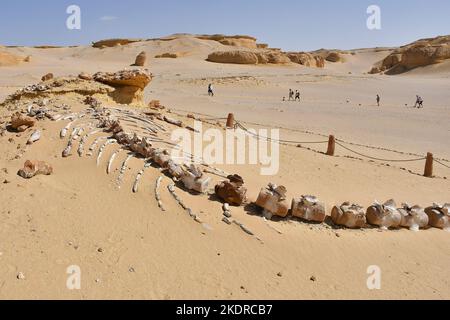 Unique nature protectorate Wadi El Rayan in Wadi al Hitan, Faiyum Governorate, Egypt, October 16, 2022. It was designated a UNESCO World Heritage Site Stock Photo