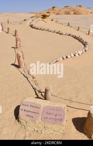 Unique nature protectorate Wadi El Rayan in Wadi al Hitan, Faiyum Governorate, Egypt, October 16, 2022. It was designated a UNESCO World Heritage Site Stock Photo