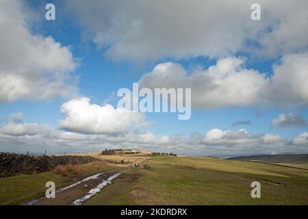 Bowstonegate above Lyme Park on a snowless winter day Cheshire England Stock Photo