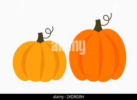 Two big pumpkins isolated on white background. Autumn pumpkins vector illustration. Stock Vector