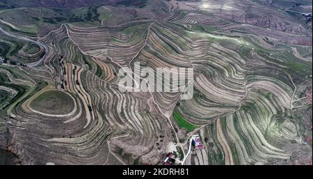 Ningxia haiyuan: colorful terraces, such as stairs, green mountain around the mountains Stock Photo