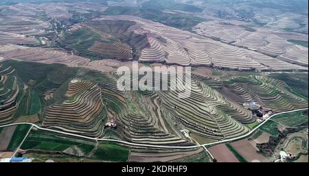 Ningxia haiyuan: colorful terraces, such as stairs, green mountain around the mountains Stock Photo