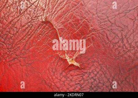Torn ripped fabric red color material old textile canvas vintage leather. Stock Photo