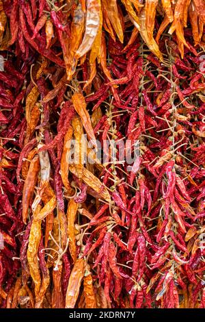 Peppers drying in the sun Stock Photo