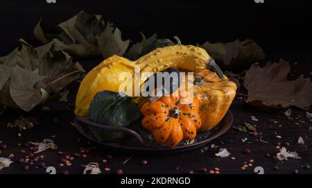 various types of ornamental pumpkins on dark background Stock Photo