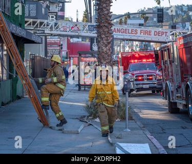 Los Angeles, CA, USA – November 3, 2022: Los Angeles Fire Department firefighters put out a house fire on Martel street in Los Angeles, CA. Stock Photo