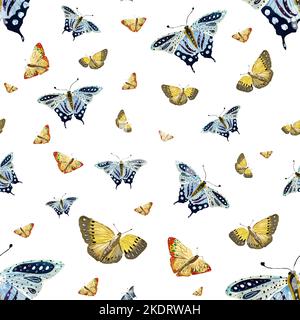 Butterfly yellow orange blue a watercolor large Stock Photo