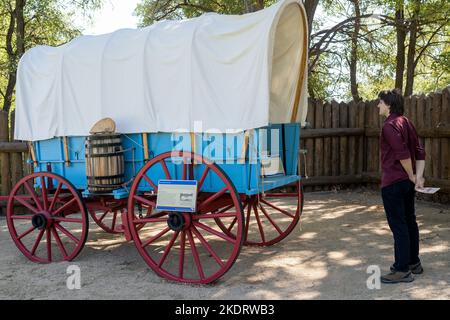 Genoa, NV, USA. 2022-09-17. Unidentified young man looking at a blue Prairie Schooner wagon with red wheels at the Mormon Station Historic Park. Stock Photo