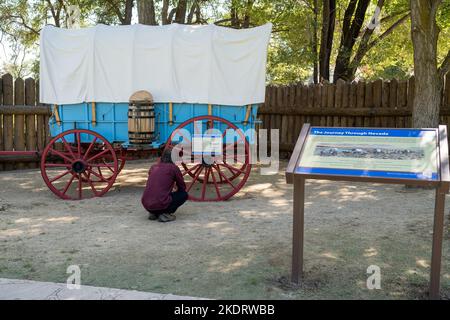 Genoa, NV, USA. 2022-09-17. Unidentified young man looking at a blue Prairie Schooner wagon with red wheels at the Mormon Station Historic Park. Stock Photo