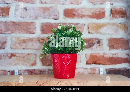Artificial green plant in red pot on the background of brick wall Stock Photo